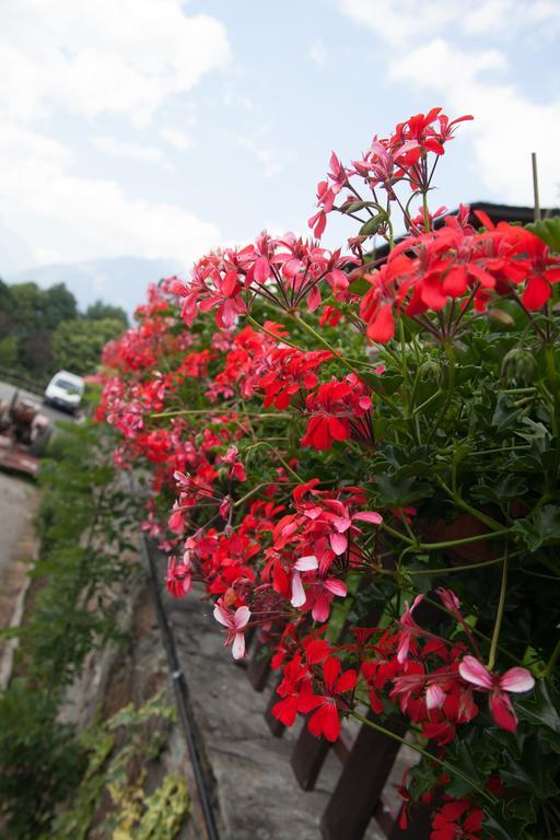 Agriturismo Al Castagneto Βίλα Mazzo di Valtellina Εξωτερικό φωτογραφία